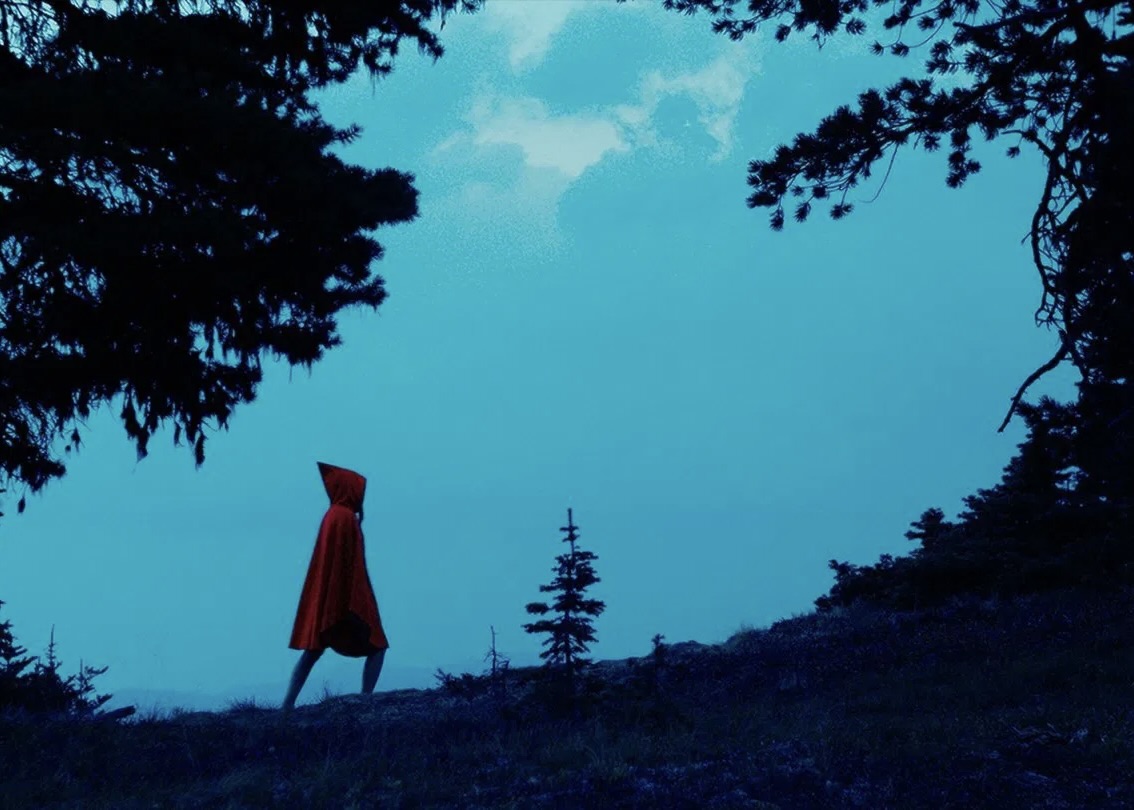 Gloopud Kryptic: Glooped, Gagged, and Lost in the Woods – The Blog Without a Face