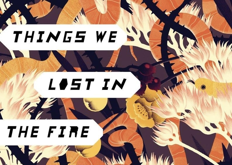 10 Years Buried: Mariana Enriquez’s Things We Lost in the&nbsp;Fire